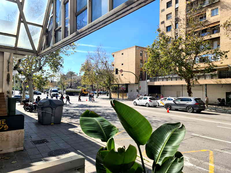 Atávico. Gastronomía Ancestral. Detapasconchencho