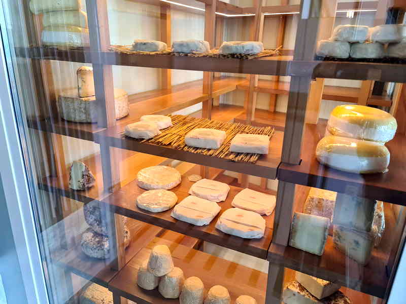 Casa Orzáez Triana. Detapasconchencho