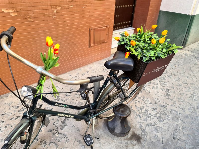 Los Tulipanes Bistró. Detapasconchencho