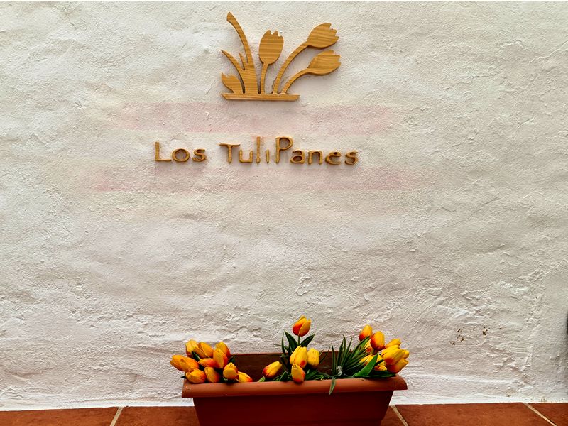 Los Tulipanes Bistró. Detapasconchencho