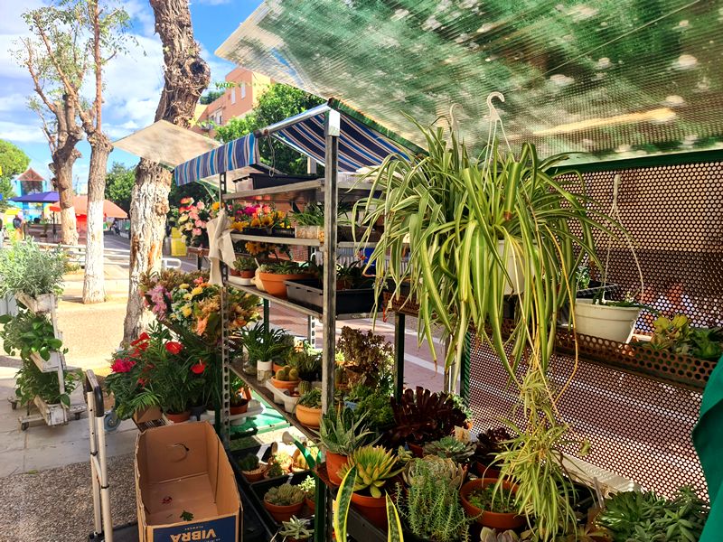 Arroz con Cuchara. Detapasconchencho