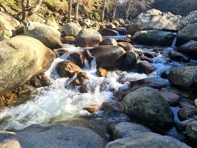 Ruta Gastronómica por el Valle del Jerte. Detapasconchencho