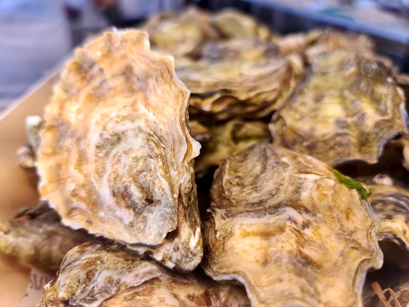 Casa Regina. Detapasconchencho