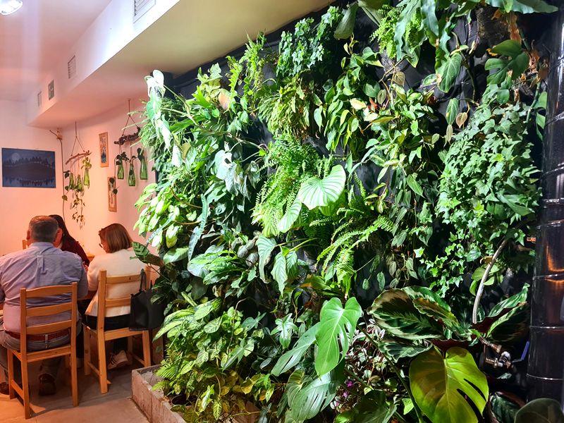 Jardín de Yunnan. Detapasconchencho