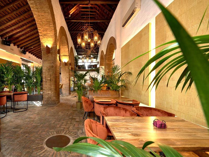 El Colmao de Villamanrique. Detapasconchencho