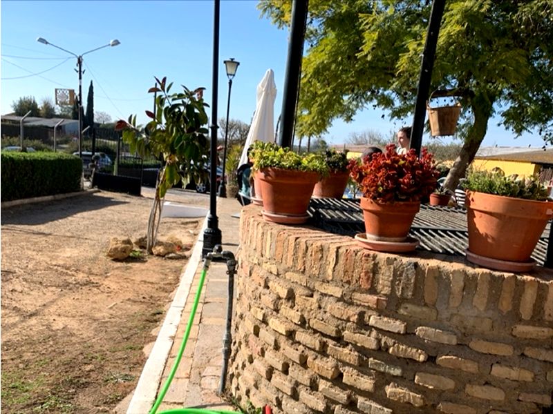 Restaurante Asador Guadiamar. Detapasconchencho