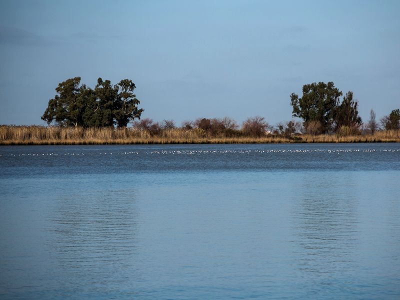 Ruta Gastronómica por el Bajo Guadalquivir. Detapasconchencho