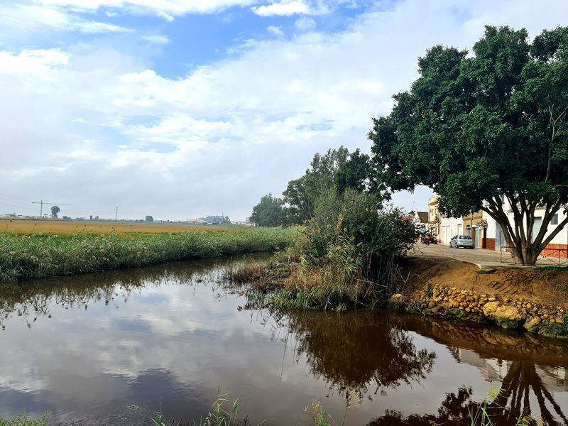 Ruta Gastronómica por el Bajo Guadalquivir. Detapasconchencho
