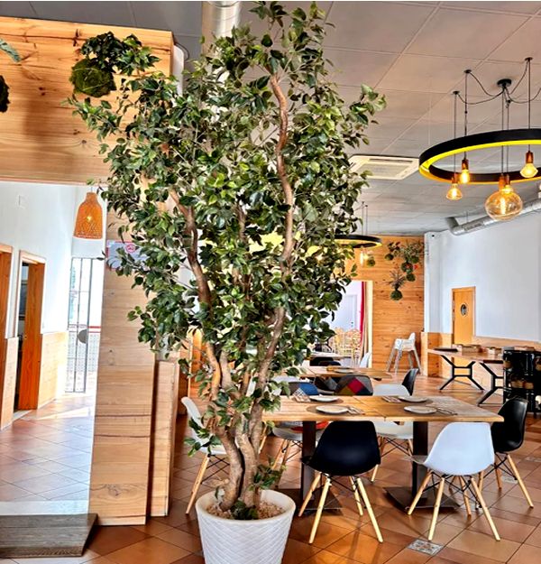 Bruto Tapas y Eventos. Detapasconchencho