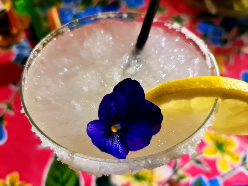 La Tasca del Frijolito. Detapasconchencho