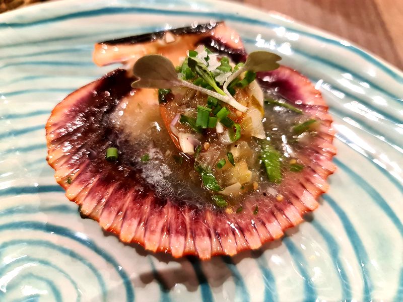 La Cuchara del Gorila. Detapasconchencho