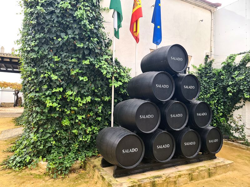 Eventos Bodega Salado. Detapasconchencho