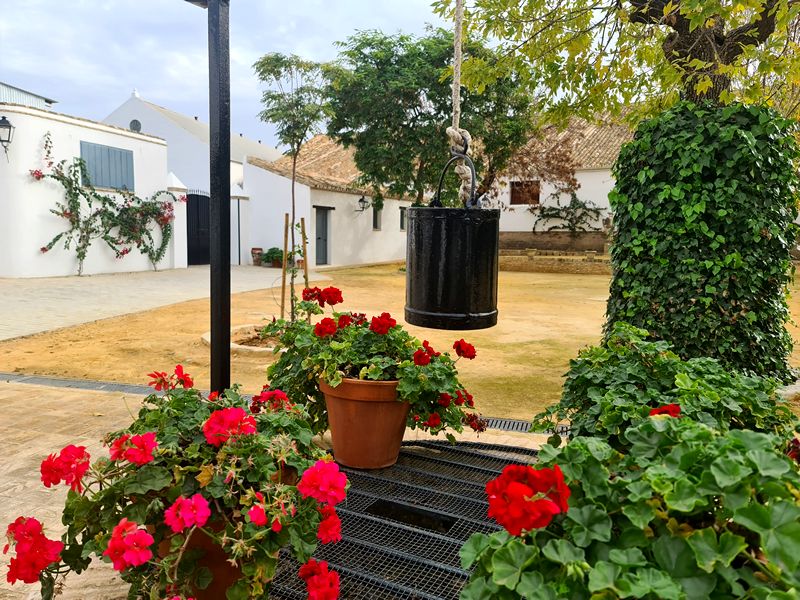 Eventos Bodega Salado. Detapasconchencho