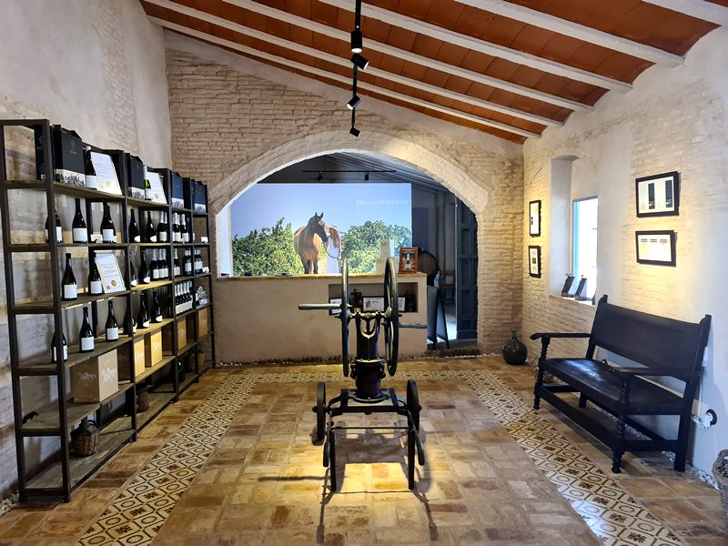 Eventos Bodega Salado. Detapasconchencho