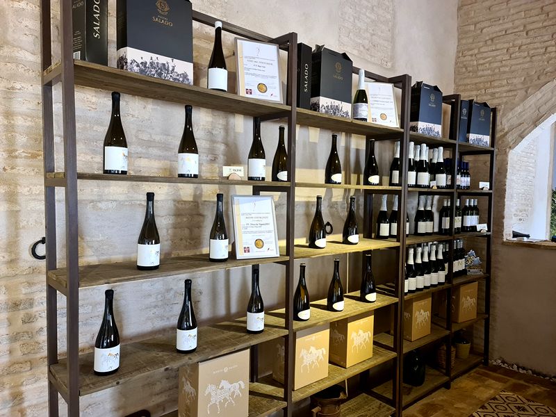 Eventos Bodega Salado. Detapasconchencho