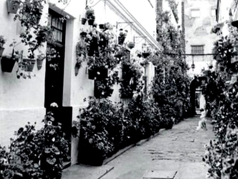 Kiosco de las Flores. Detapasconchencho
