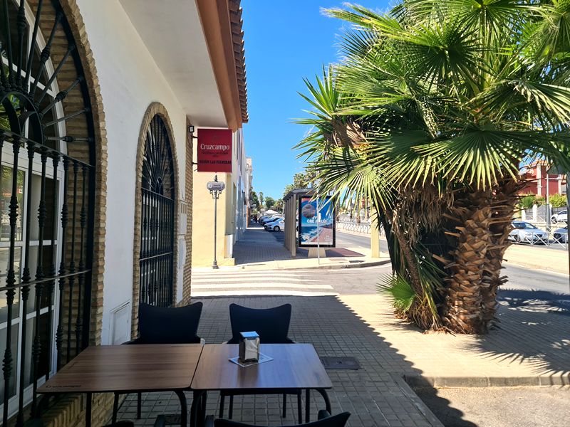 Mesón Las Palmeras. Detapasconchencho