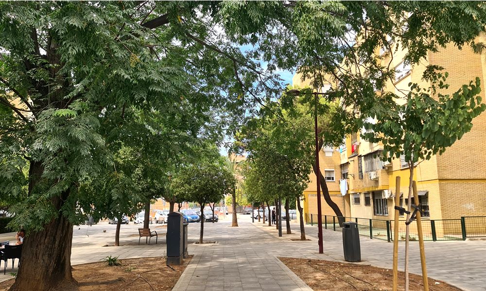 Bar Otro Nivel. Detapasconchencho