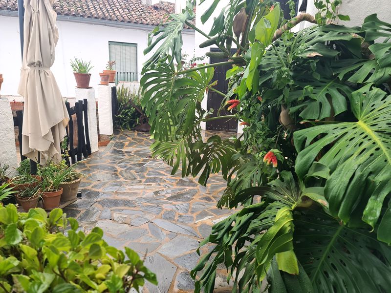 Restaurante Arrieros. Detapasconchencho