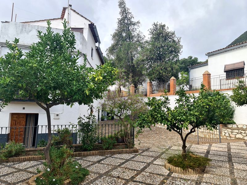 Restaurante Arrieros. Detapasconchencho