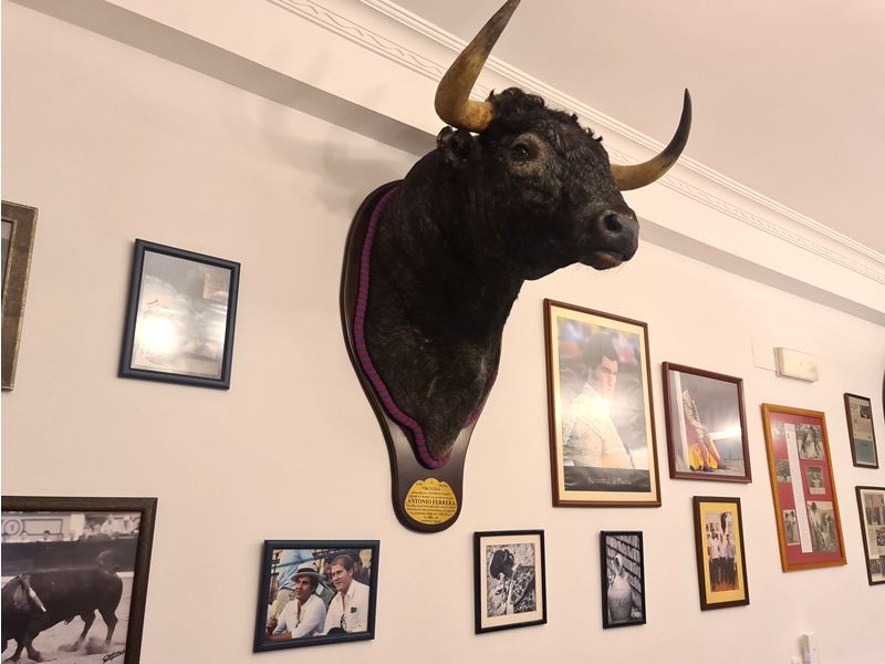 Venta el Mármol. Detapasconchencho