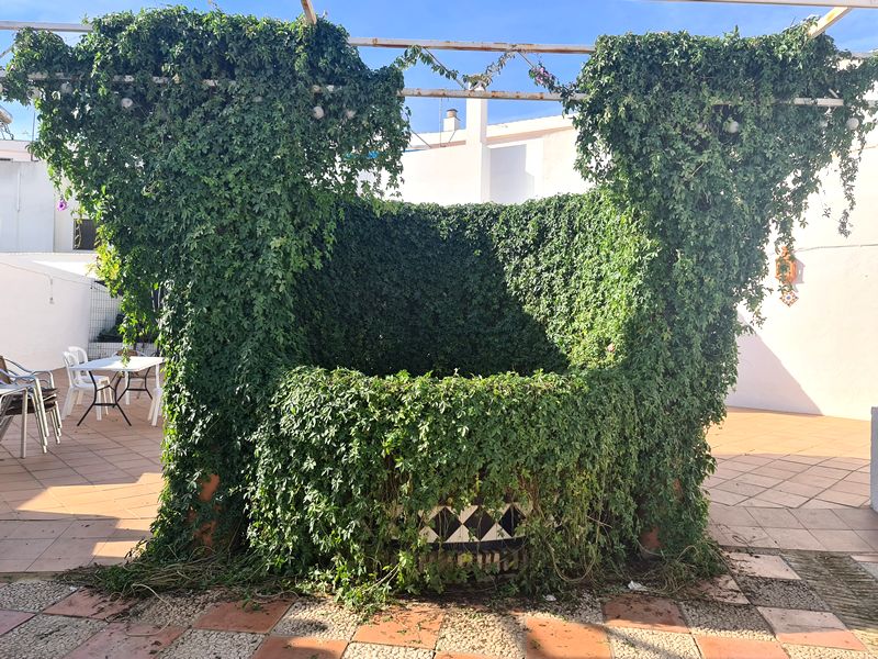 Bodega El Bólido. Detapasconchencho